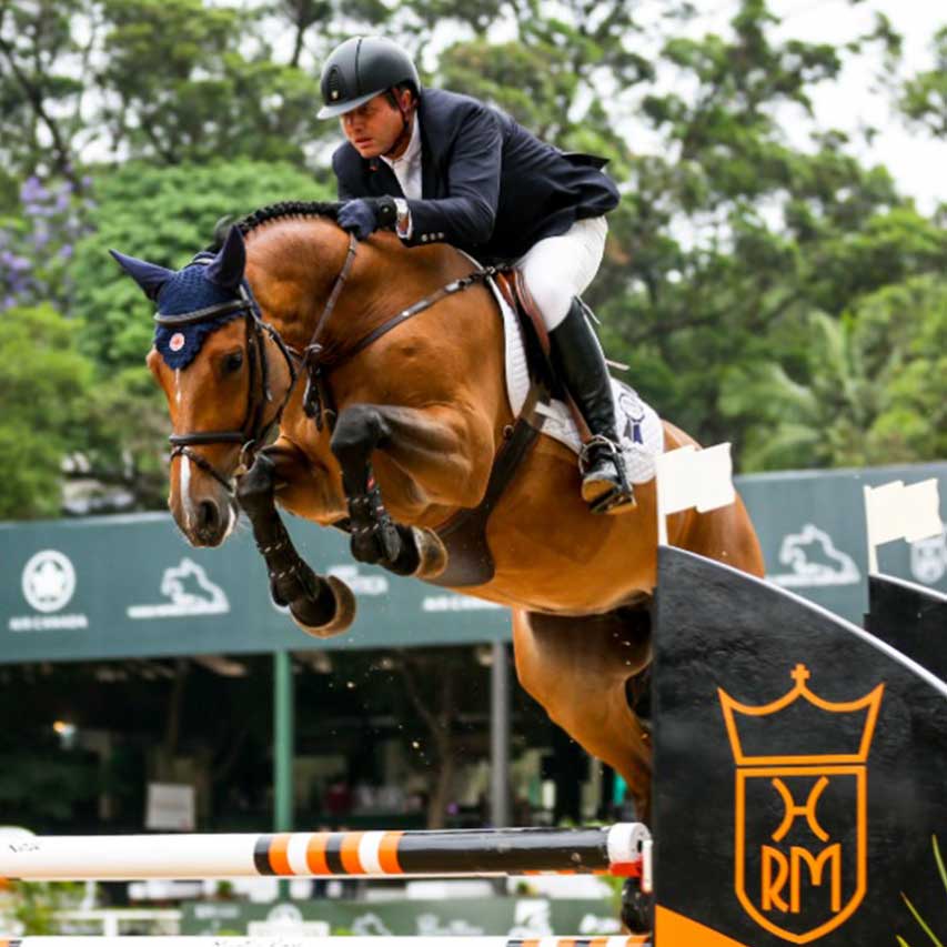 Artesanato equestre