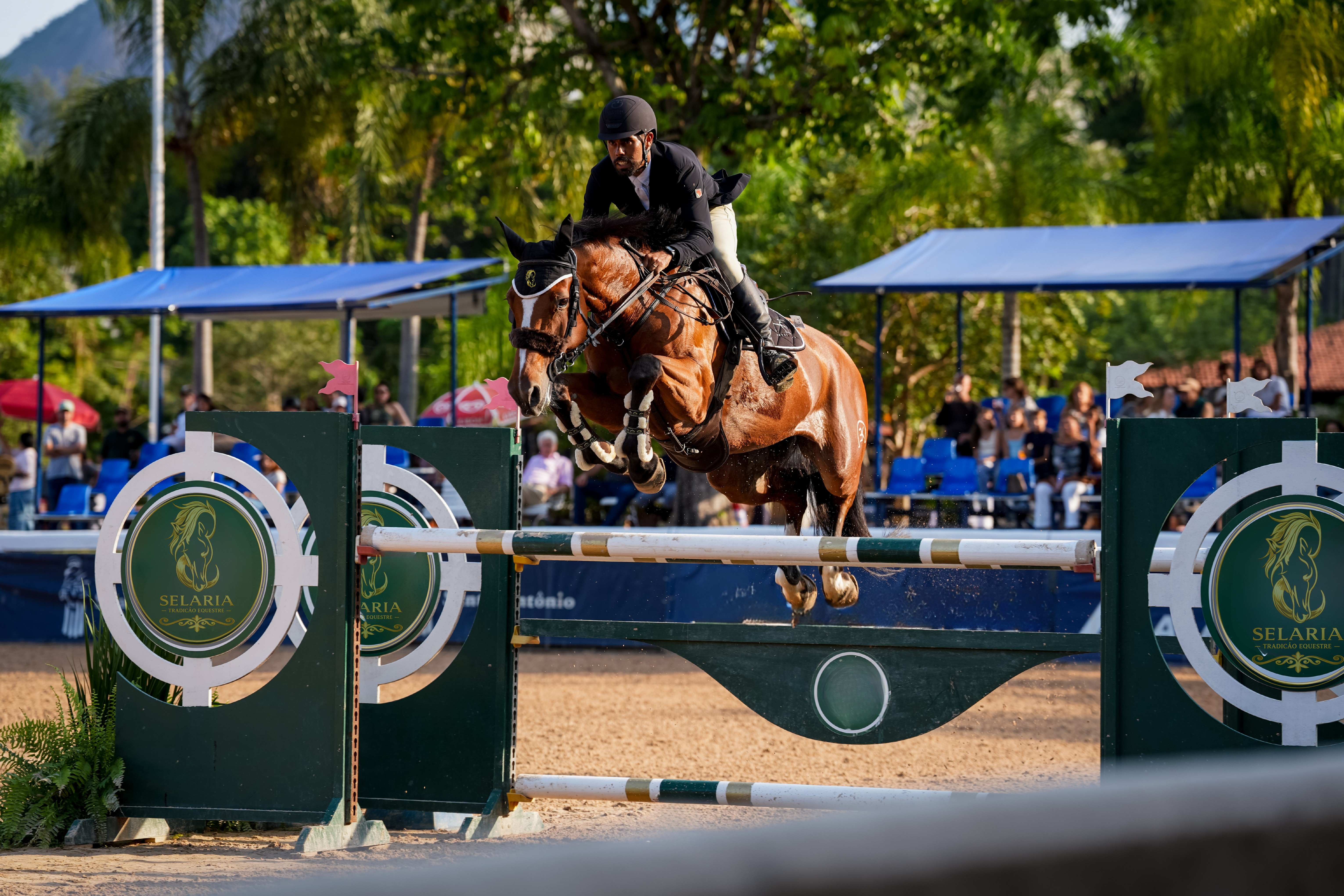 Artesanato equestre